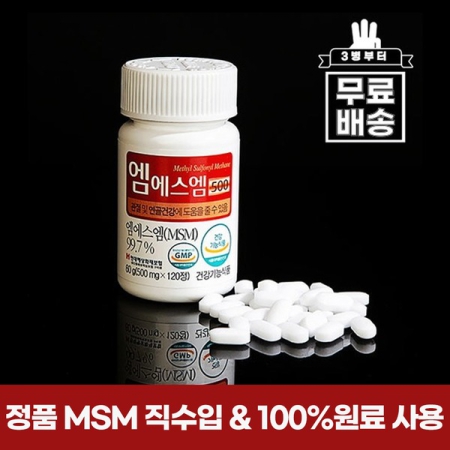 엠에스엠500 식이유황 MSM 2병